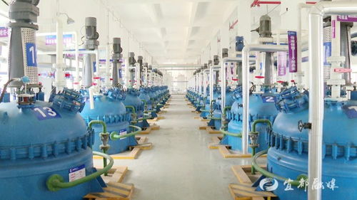 宜昌誠(chéng)凱化工科研投入超500萬(wàn)元，新興能源技術(shù)研發(fā)成新引擎