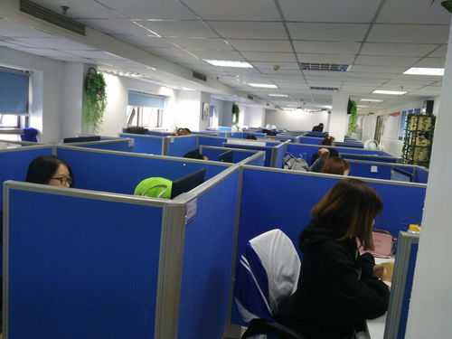 上海回聲網(wǎng)絡(luò)科技 專業(yè)網(wǎng)絡(luò)技術(shù)服務(wù)領(lǐng)航者